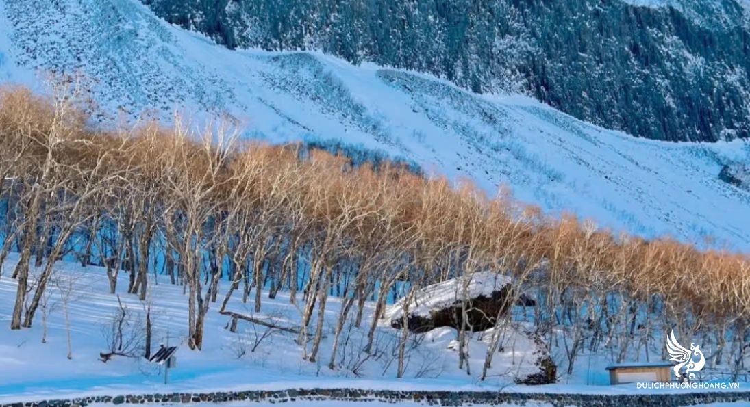 tour-dong-bac-trung-hoa-6n5d-|-cap-nhi-tan-lang-tuyet-huong-cat-lam_3cap-nhi-tan-cat-l